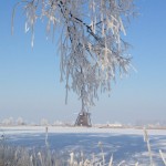 Natuurgebied de Steendert in de winter